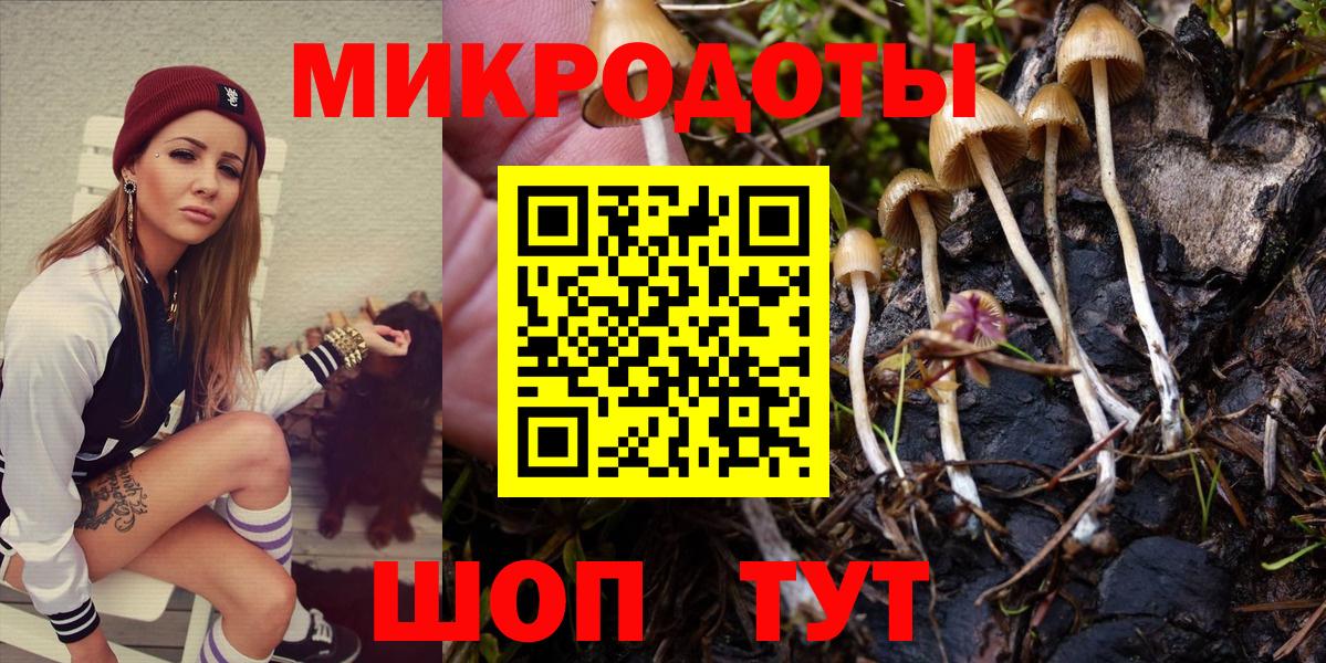 Электрогорск  Псилоцибиновые грибы Psilocybe  Галлюциногенные грибы ЛСД  Вход с VPN 