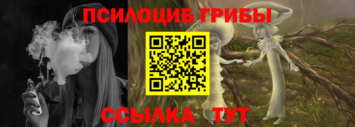 Псилоцибиновые грибы Magic Shrooms Электрогорск